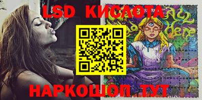 прущие крисы Тара