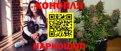 прущие крисы Тара