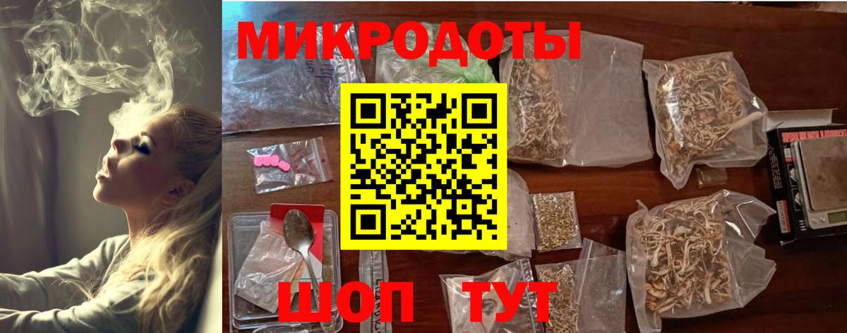 Галлюциногенные грибы Psilocybe Тольятти
